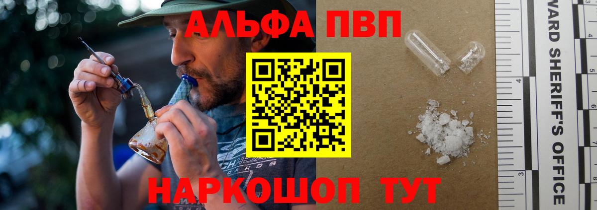 Альфа ПВП СК КРИС Гатчина