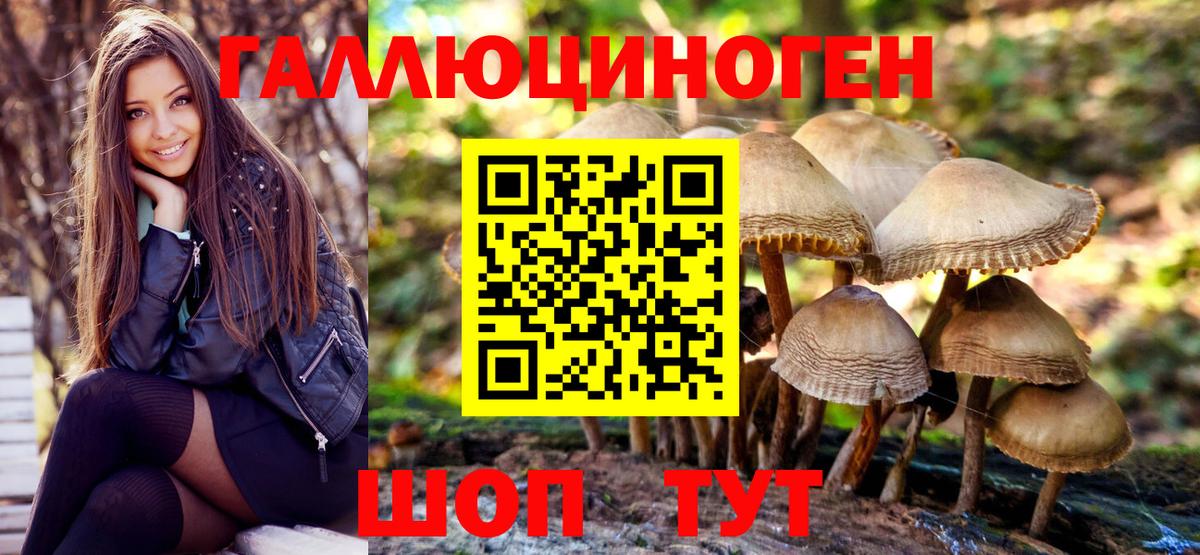 Гатчина  Галлюциногенные грибы Magic Shrooms  Вход с VPN  Галлюциногенные грибы GOLDEN TEACHER 