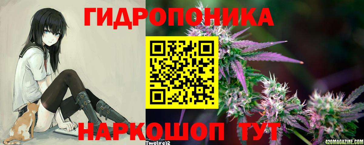 Канабис SATIVA & INDICA  Каннабис White Widow  Вход с VPN  Шишки марихуана Bruce Banner  Гатчина 